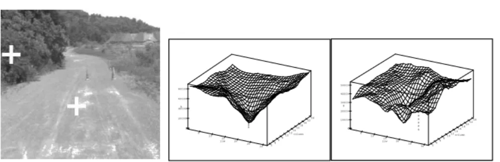 Figure 10: Left: Selected pixels in image 1. Center (resp. right): SSD error as function of 