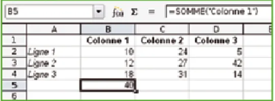 Figure 1. Une utilisation de la fonction  Somme