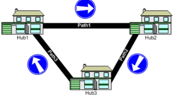 Fig. 1. A Net with Hubs and paths