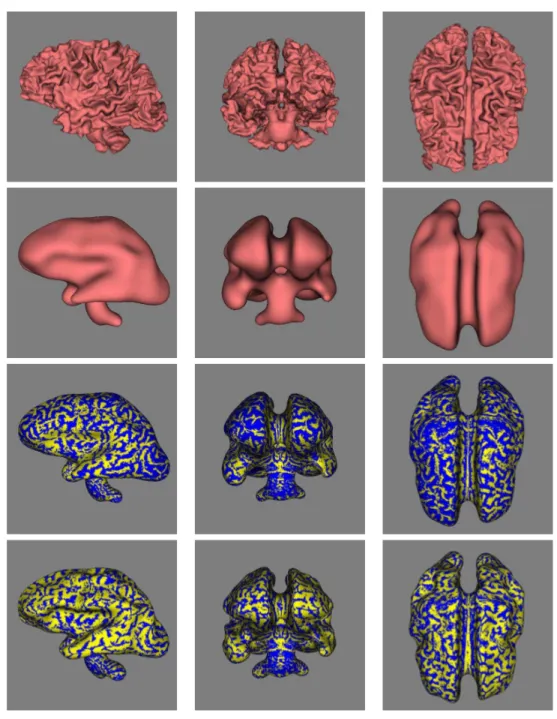 Figure 2: Unfolding the cortex as segmented from the MRI image. The first two rows show the geometry of the initial and final surfaces, without mapping the sign-of-curvature function