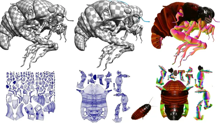 Figure 13: UV-unwrapping a challenging model. This surface is a topological sphere. The legs make it impossible to select seams with traditional tools