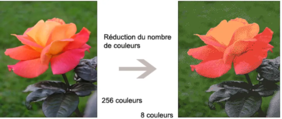 Fig. 9: A gauche une image GIF avec la totalit´ e de couleurs. A droite le mˆ eme GIF avec une palette de 8 couleurs.