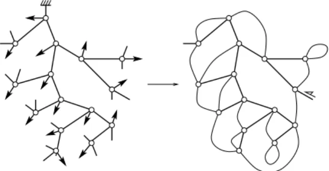 Figure 9. Schaeffer’s bijection between blossom trees and planar maps.