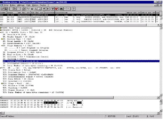 Fig. 13 – Exemple d’une trame « sniffé » sur un réseau local (Microsoft S.M.S).