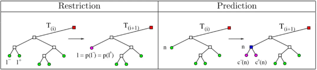 Fig. 3.3. Schematic representation of the elementary restriction (left) and prediction (right) operators through the removal and creation respectively of the (leaves) children of a node.