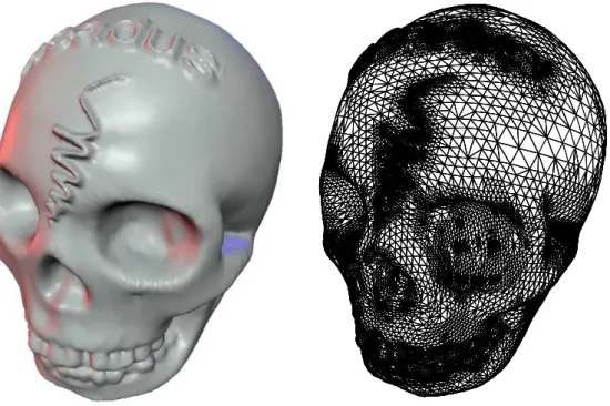 Figure 9: Adaptive normal mesh for the skull model (data courtesy A.Khodakovsky).