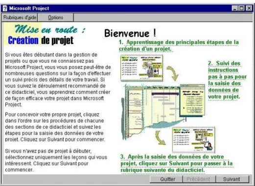 Figure 3.3 L’option Aperçu rapide  