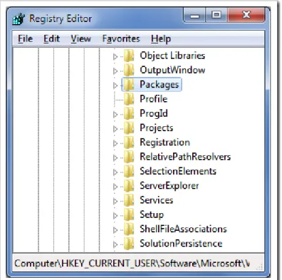 Figure 10: Package and object information in the registry 
