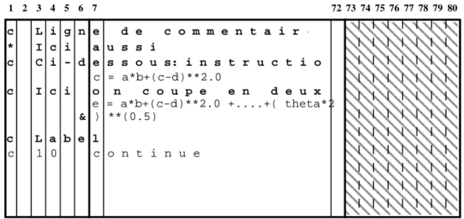 Fig. 2.1 – Exemples de contenu de lignes en Fortran