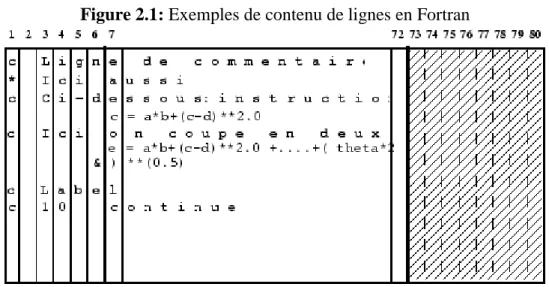 Figure 2.1: Exemples de contenu de lignes en Fortran 