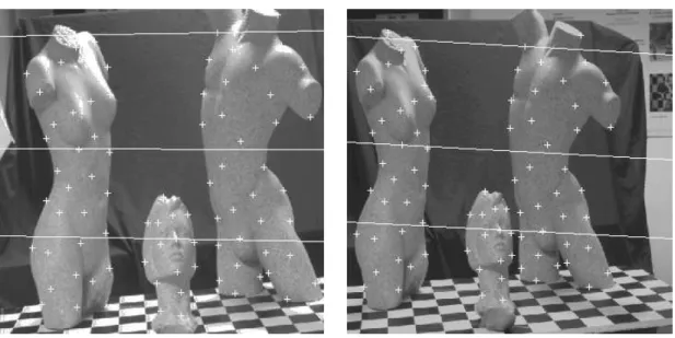 Figure 9: The pair of weakly-calibrated images, point correspondences, and a set of epipolar lines