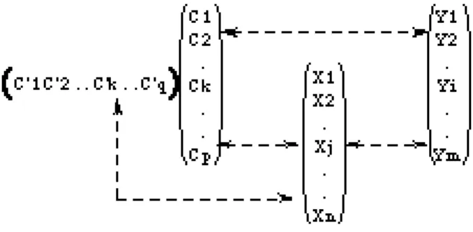 Figure 4 : The representation of a product (good or service) as a system of  characteristics and skill 