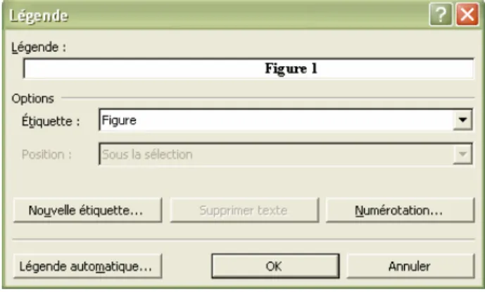 Figure 1 : Exemple de légende 