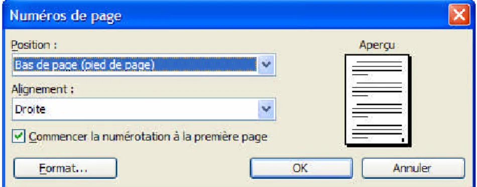 Figure 10 : La fenêtre de Numéros de page