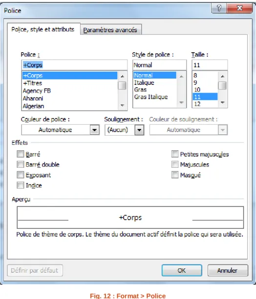 Fig. 12 : Format > Police 