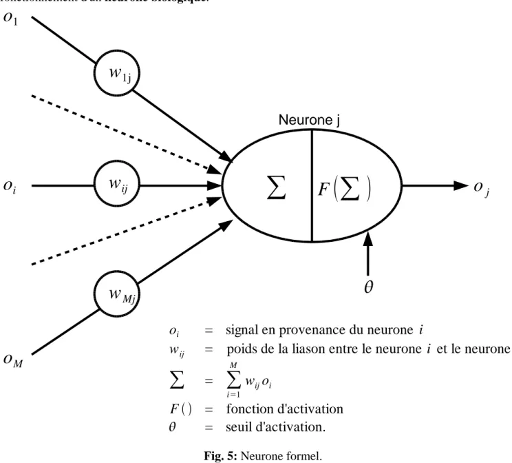 Fig. 5: Neurone formel. 