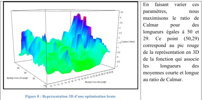 Figure 8 :  Représentation  3D  d’une  optimisation  brute