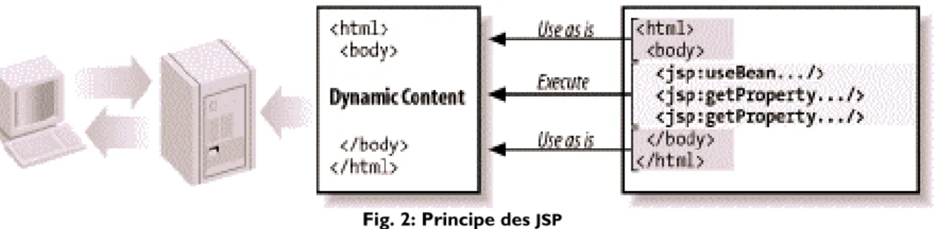 Fig. 2: Principe des  JSP