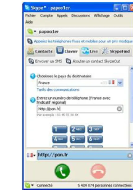 Figure 8 - Présentation de l'interface de Skype 