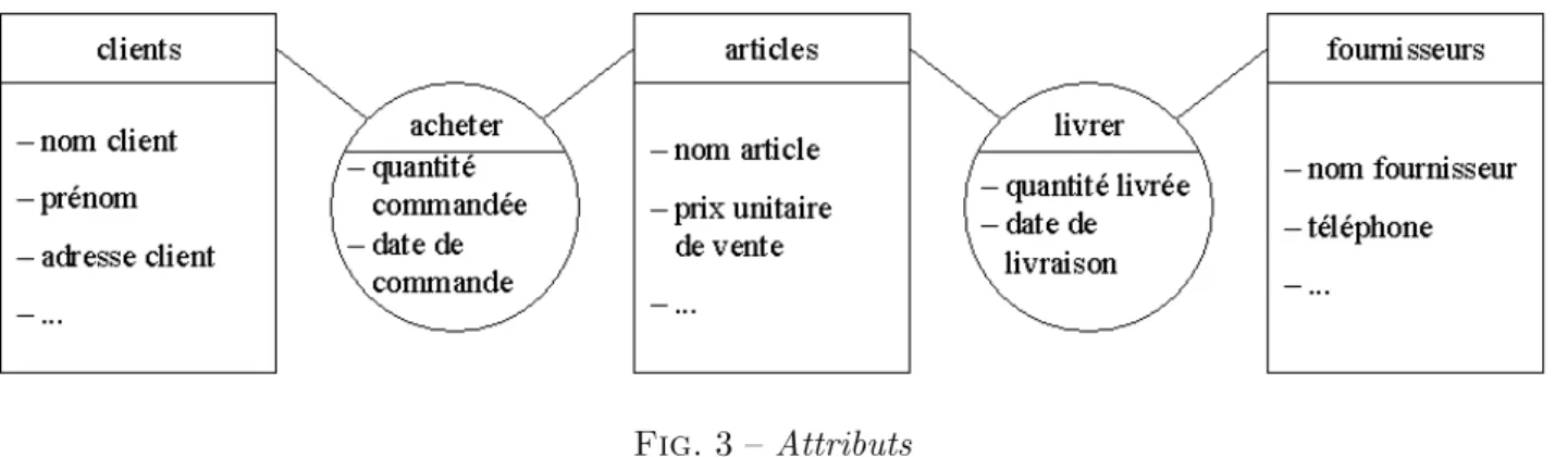 Fig. 3 – Attributs