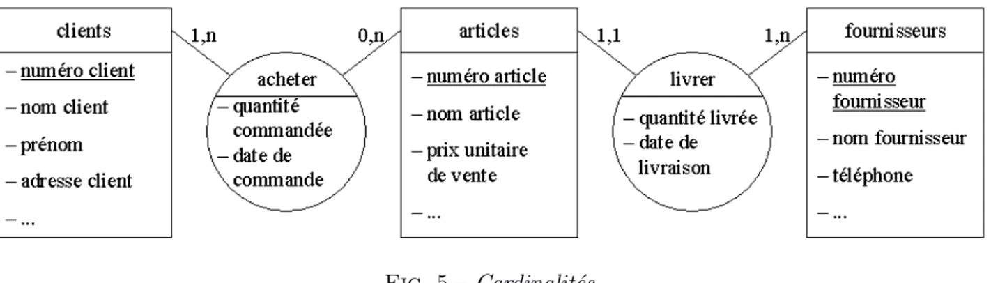 Fig. 5 – Cardinalit´ es