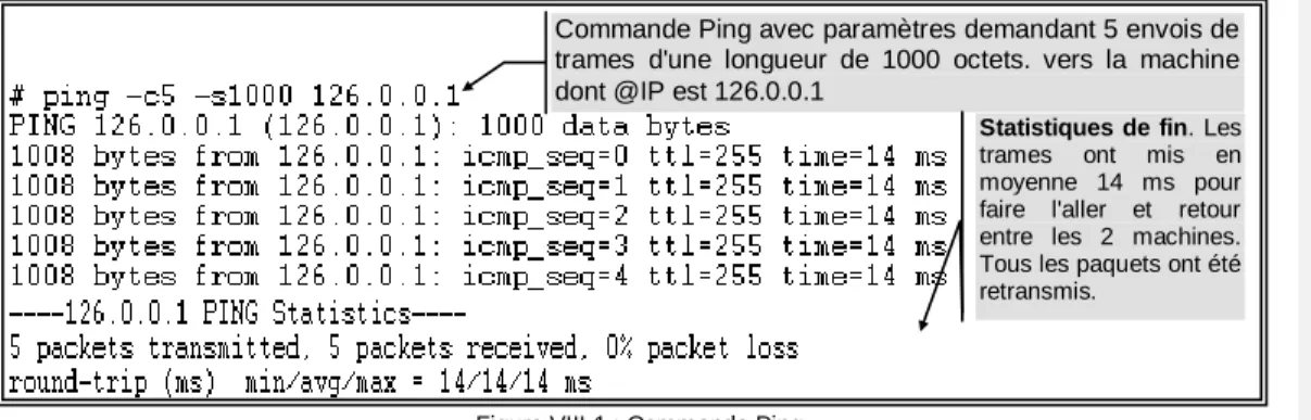Figure  ‎ VIII-1 : Commande Ping. 