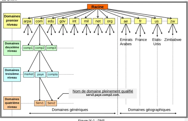 Figure  ‎ IX-1 : DNS. 
