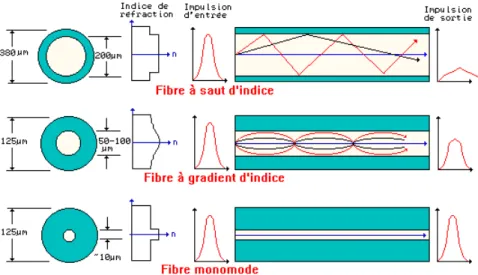Figure 28 : Propagation de la lumière dans les trois types de fibres