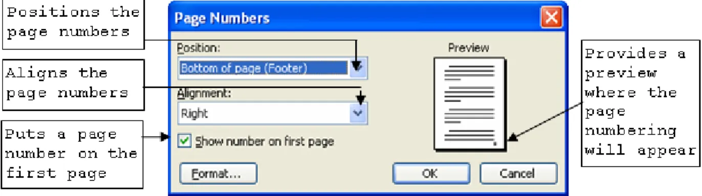 Figure 4 – Page Numbers Dialog Box 