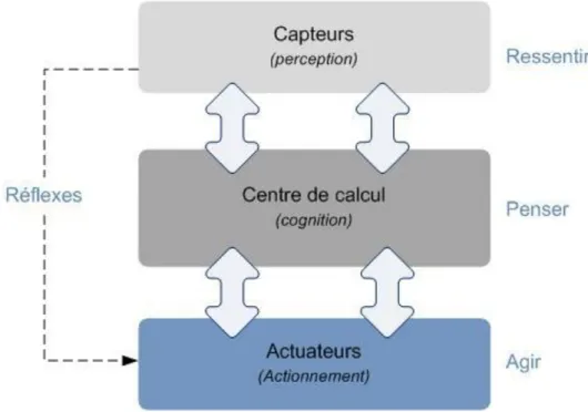 Figure 3 - Différentes composantes physiques et logicielle d'un robot mobile. 