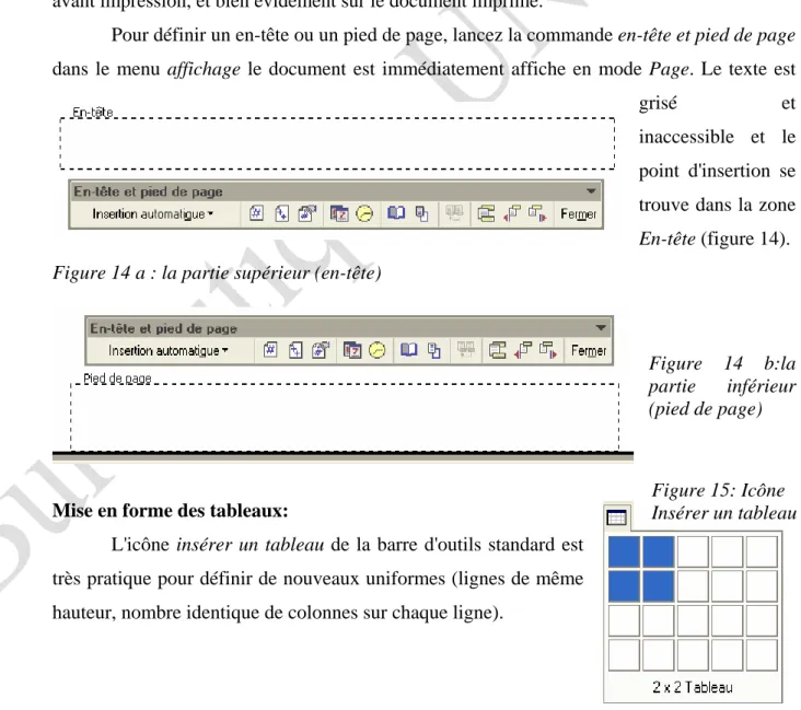 Figure 14 a : la partie supérieur (en-tête) 