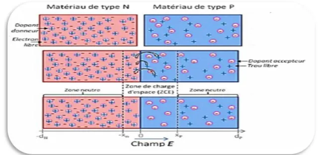 Figure 8 : Mouvement des charges dans une jonction PN 