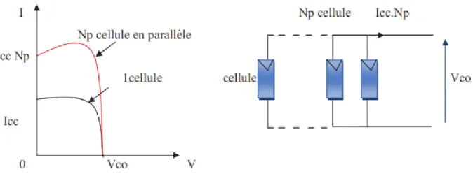 Figure 13 : Caractéristique courant tension de Ns cellules en série  3.2  Association des cellules photovoltaïques en parallèle 