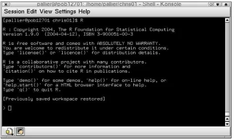 Fig. 1.3 – R dans un terminal sous Linux