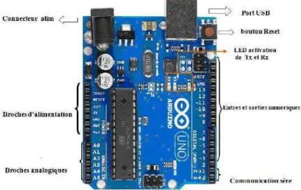 Figure II.7 Constitution de la carte Arduino UNO  I.4.2-Partie programme 