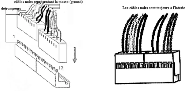 Figure 6 : Connecteurs d'alimentation. 