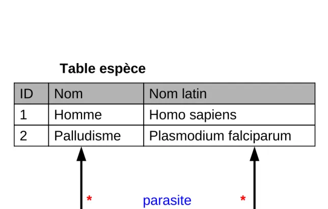 Table espèce