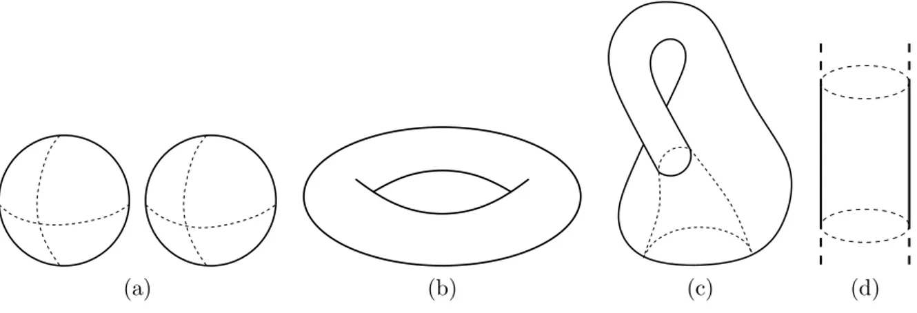 Fig. 2.1 – (a) Surface non connexe. (b) Tore. (c) Bouteille de Klein. (d) Cylindre infini.