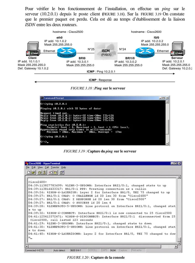 FIGURE 3.19 : Capture du ping sur le serveur