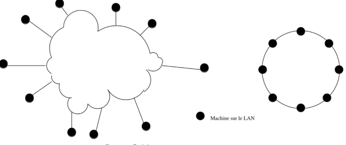 figure I.02 — Exemple de LANs