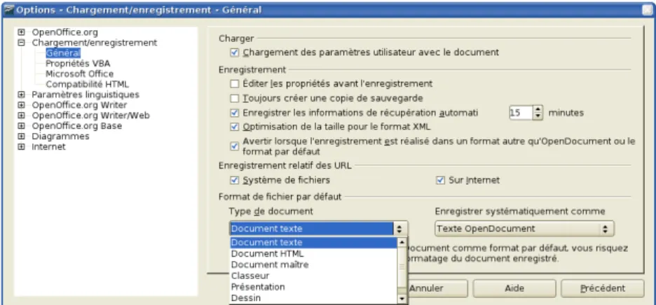 Figure 1: Choisir le format par défaut pour l’enregistrement des fichiers