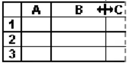 Figure 14. Redimensionner des colonnes. 