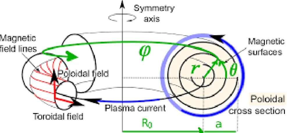 Figure 2.2: Geometrical system of coordinates for a magnetic configuration of circular and concentric flux surfaces.