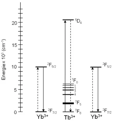 Figure 4: Schéma du quantum cutting pour le système Tb 3+ -Yb 3+ .