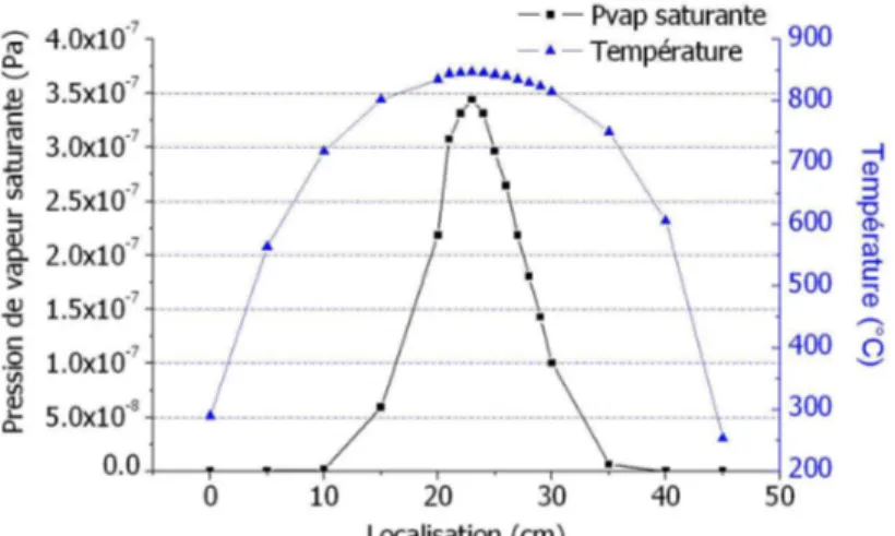 Figure 23: Pression de vapeur saturante du fer le long du four de pyrolyse en tenant compte de son profil  thermique à 850 °C