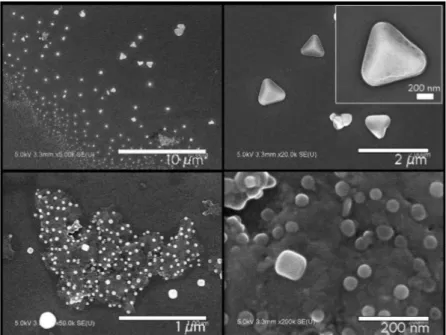 Figure 53 : Image MEB du détail du gradient de particules autour du cercle central pour la synthèse Fa