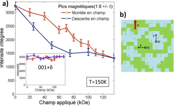 Figure 10.2 – Evolution sous champ des intensités intégrées des pics magnétiques 10±δ et 001+δ (en encart)