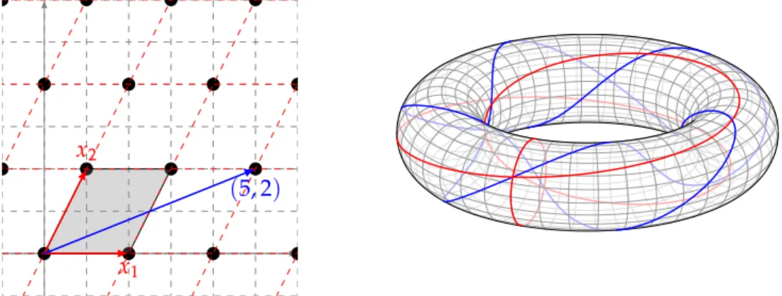 Figure 2: In blue the ( 5, 2 ) curve as a vector in the lattice Γ 4;2,1 (left) and as a line on the torus T (right)