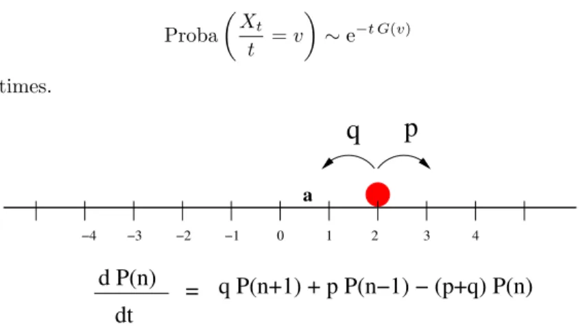 FIG. 9: An asymmetric random walker on a discrete line. The rates for right and left hopping are given by p and q respectively.