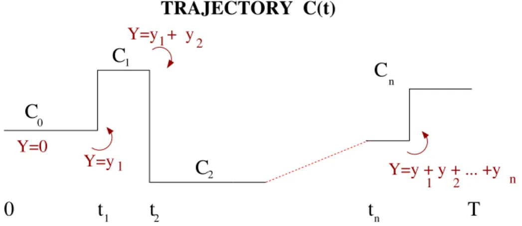 FIG. 11: A trajectory of the system for 0 ≤ t ≤ T . At each transition, the observable Y is incremented by a quantity y.
